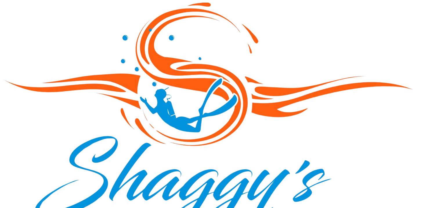 Shaggy's